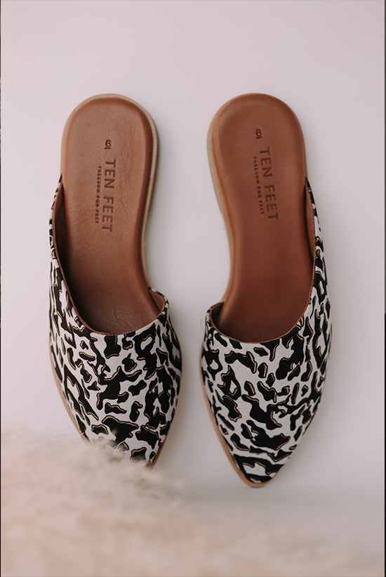 Ten Feet shoes collaboration with Wanderland
